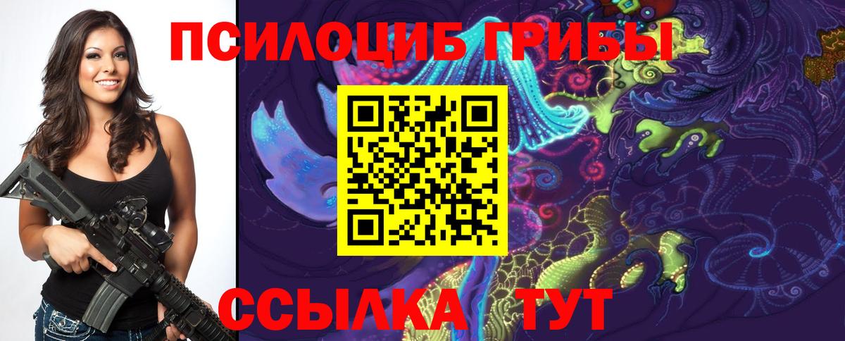 Бердск  Псилоцибиновые грибы Psilocybine cubensis  Псилоцибиновые грибы прущие грибы  Вход с VPN 