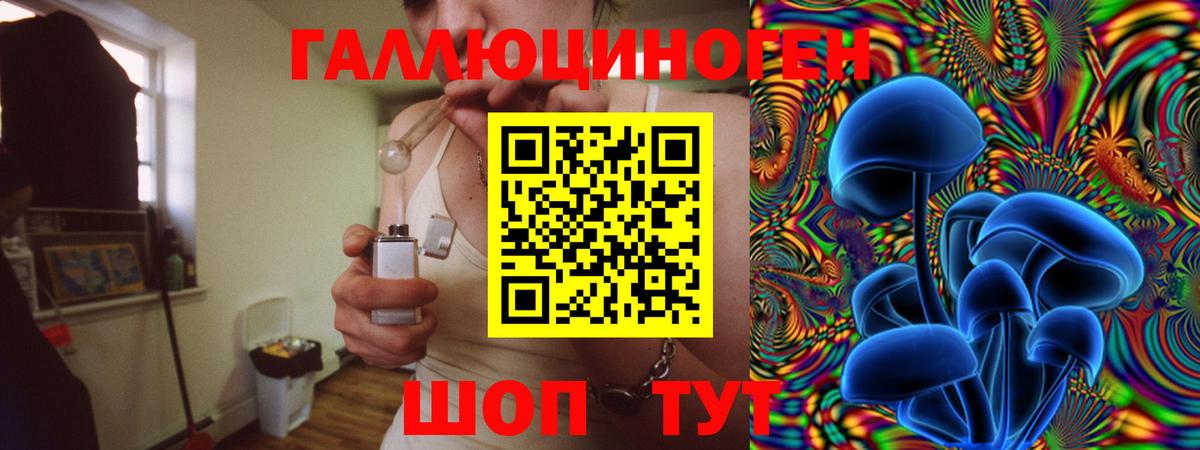 Псилоцибиновые грибы мухоморы Бердск